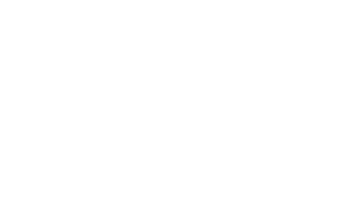 Valsts ieņēmumu dienests