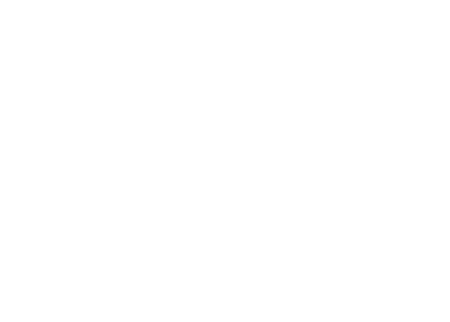 Valsts ieņēmumu dienests